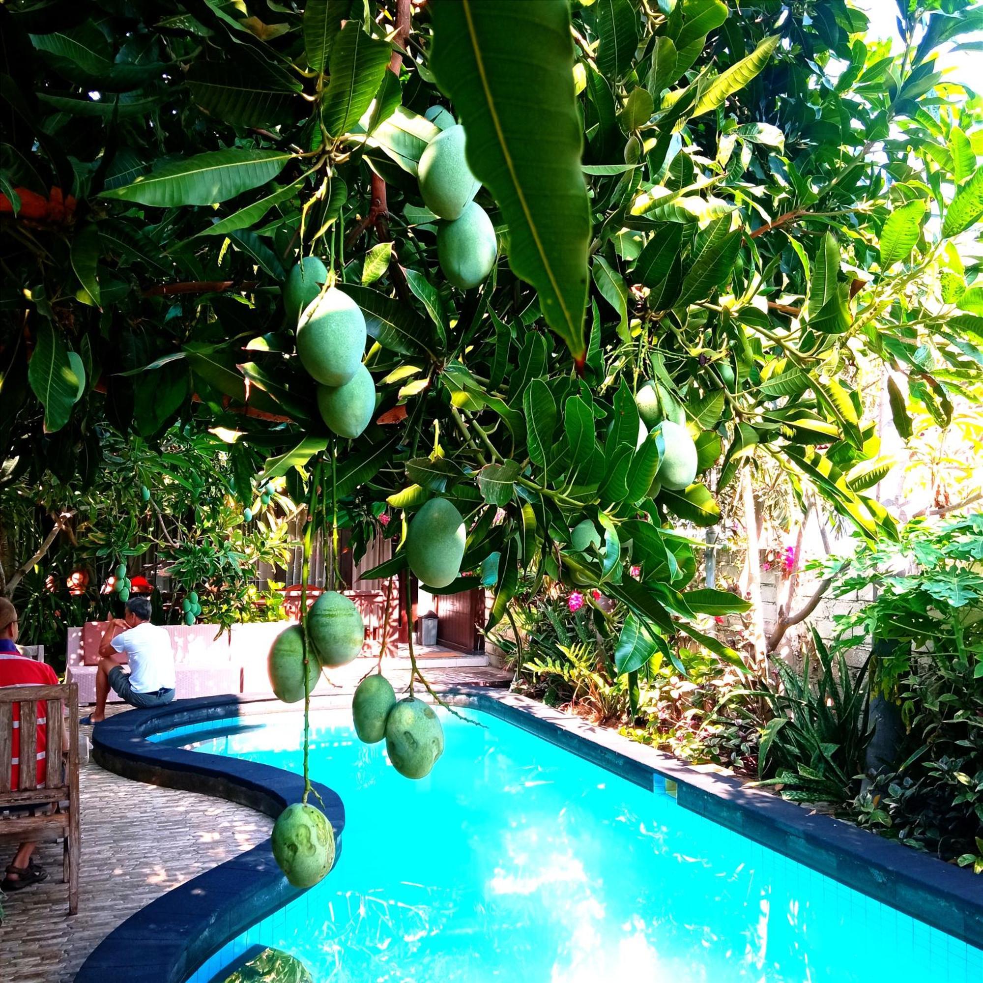 Giliranta Hotel Gili Trawangan Luaran gambar